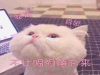 河南省橙韵信息技术有限公司