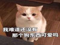河南省橙韵信息技术有限公司