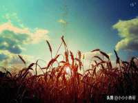 河南省橙韵信息技术有限公司