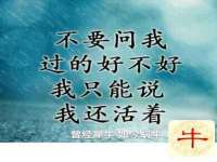 河南省橙韵信息技术有限公司