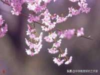 河南省橙韵信息技术有限公司