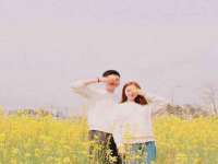 河南省橙韵信息技术有限公司