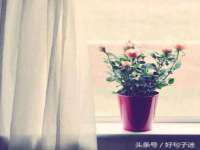 河南省橙韵信息技术有限公司