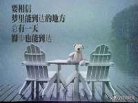 河南省橙韵信息技术有限公司