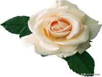 河南省橙韵信息技术有限公司