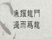 河南省橙韵信息技术有限公司