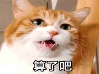 河南省橙韵信息技术有限公司