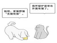 河南省橙韵信息技术有限公司