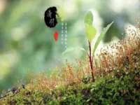河南省橙韵信息技术有限公司