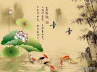 河南省橙韵信息技术有限公司