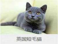 河南省橙韵信息技术有限公司