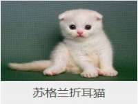 河南省橙韵信息技术有限公司