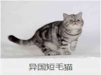 河南省橙韵信息技术有限公司