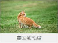 河南省橙韵信息技术有限公司