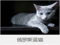 河南省橙韵信息技术有限公司