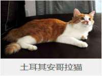 河南省橙韵信息技术有限公司
