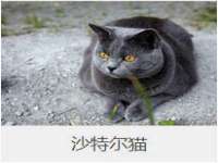 河南省橙韵信息技术有限公司