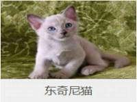 河南省橙韵信息技术有限公司