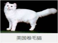 河南省橙韵信息技术有限公司
