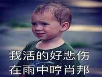 河南省橙韵信息技术有限公司