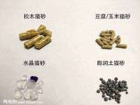 河南省橙韵信息技术有限公司