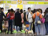 河南省橙韵信息技术有限公司