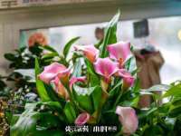 河南省橙韵信息技术有限公司