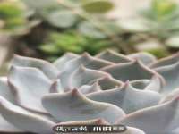河南省橙韵信息技术有限公司