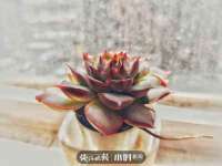 河南省橙韵信息技术有限公司