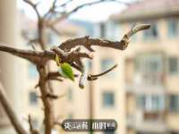 河南省橙韵信息技术有限公司