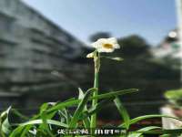 河南省橙韵信息技术有限公司