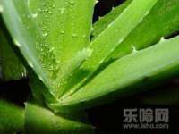 河南省橙韵信息技术有限公司