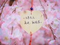 河南省橙韵信息技术有限公司