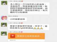 河南省橙韵信息技术有限公司
