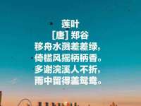 河南省橙韵信息技术有限公司