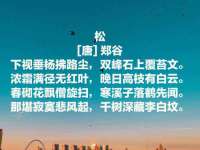 河南省橙韵信息技术有限公司