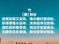 河南省橙韵信息技术有限公司