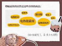 河南省橙韵信息技术有限公司