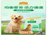 河南省橙韵信息技术有限公司