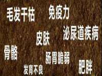 河南省橙韵信息技术有限公司