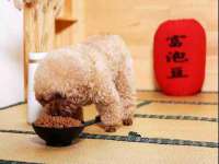 河南省橙韵信息技术有限公司