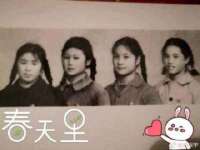 河南省橙韵信息技术有限公司
