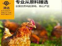 河南省橙韵信息技术有限公司