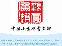 河南省橙韵信息技术有限公司