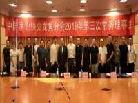 河南省橙韵信息技术有限公司