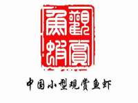 河南省橙韵信息技术有限公司