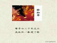河南省橙韵信息技术有限公司