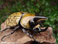 河南省橙韵信息技术有限公司