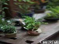 河南省橙韵信息技术有限公司