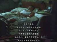 河南省橙韵信息技术有限公司
